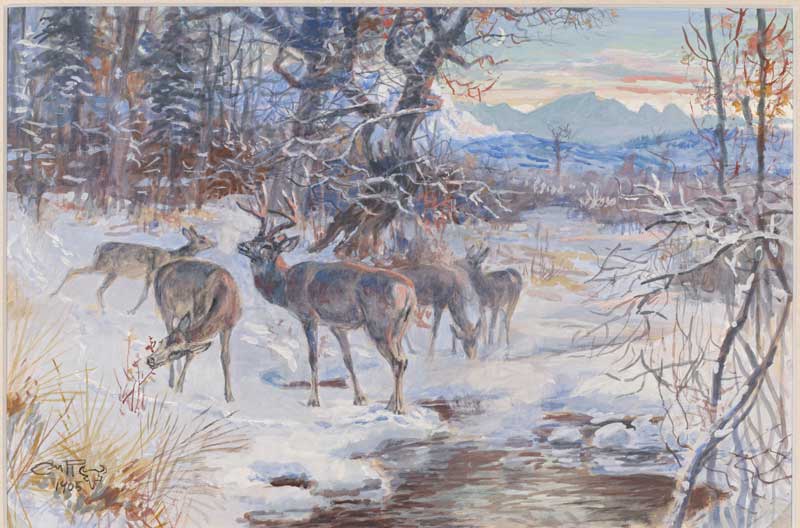Deer-at-Waterhole